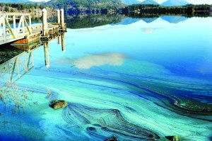 Blue-green scum is seen at Lake Pleasant on Tuesday. Lonnie Archibald/for Peninsula Daily News