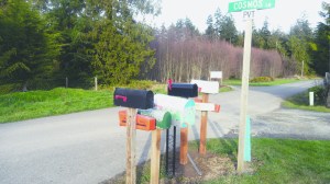 Mailboxes on Cosmos Lane off Finn Hall Road in Agnew demonstrate varying heights as the Postal Service changes its requirements. Mike Millar