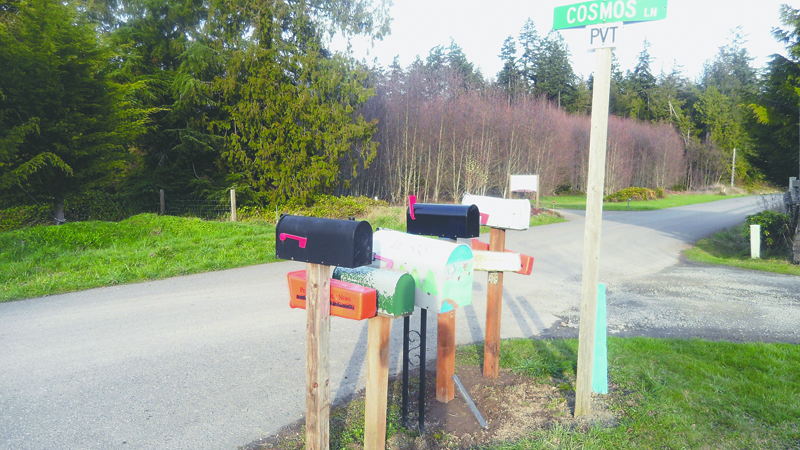 Mailboxes on Cosmos Lane off Finn Hall Road in Agnew demonstrate varying heights as the Postal Service changes its requirements. Mike Millar