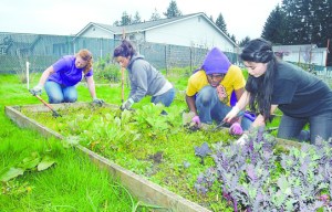 eninsula Daily News