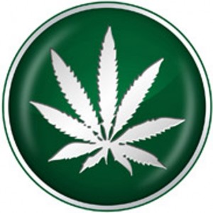 State plans for pot-shop license lotteries coming later this month