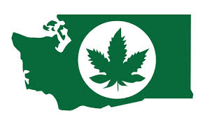 State plans for pot-shop license lotteries coming later this month