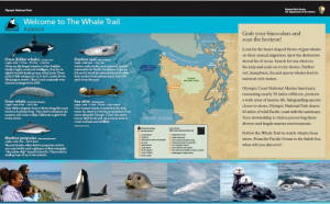 Whale Trail sign at Kalaloch Lodge.