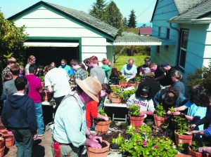 Members of the Northwinds Homeschool Band plant 400 hanging flowering baskets on April 22 in Port Angeles to raise funds for a 2014 performance tour through Southern California. The baskets are available for sale by calling 360-452-7189.