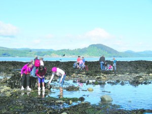 A group of unidentified children explores a tide pool at Clallam Bay in September 2011. Jacqueline Laverdure/Olympic Coast National Marine Sanctuary