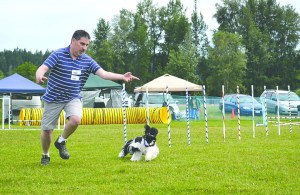 Russ Harned of Mill Creek guides his 4&frac12;-year-old American cocker spaniel