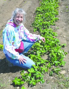 Master Gardener