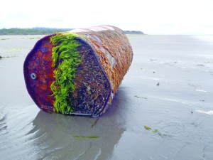 Washington Conservation Corps crews found this oil drum at Washaway Beach on June 28. Department of Ecology