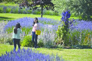 Duoi Xu of Seattle photographs friend Xiao Tong Yang at Jardin du Soleil Lavender