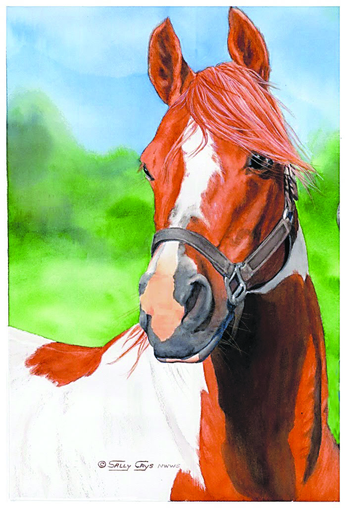 “Monty” was painted by Sally Cays