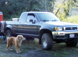 Snapshot of stolen truck. Gray Motors Inc.