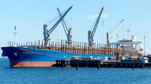 The Astoria Bay moored at Port of Port Angeles Terminal 3 last week. Click on arrow upper right to see her as Dry Beam after a rogue wave shifted her log cargo in 2012 and damaged the ship. David G. Sellars/for Peninsula Daily News