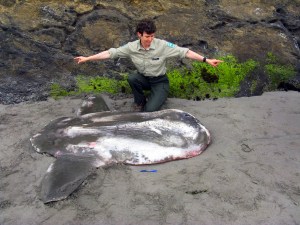 The 7-foot ocean sunfish is shown with June Mohler