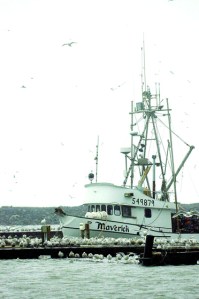 The fishing boat Maverick