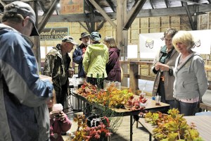 Groups gather to test wine and home-brewed beer during the Fish N Brew at the Old Mill Roundhouse in Forks in 2013. Lonnie Archibald/for Peninsula Daily News
