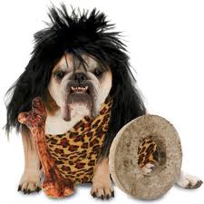 Best witches for a happy Halloween! Enter our online contest for best Halloween costumes