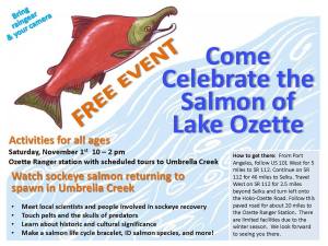 (Click on image to enlarge)