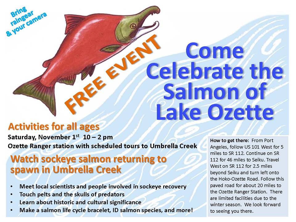 (Click on image to enlarge)