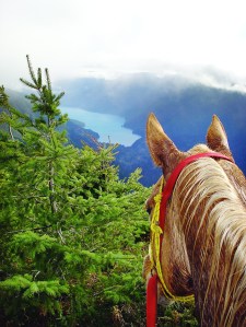 Perched atop Mount Muller
