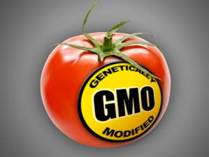 Despite losses, GMO label backers aren't quitting