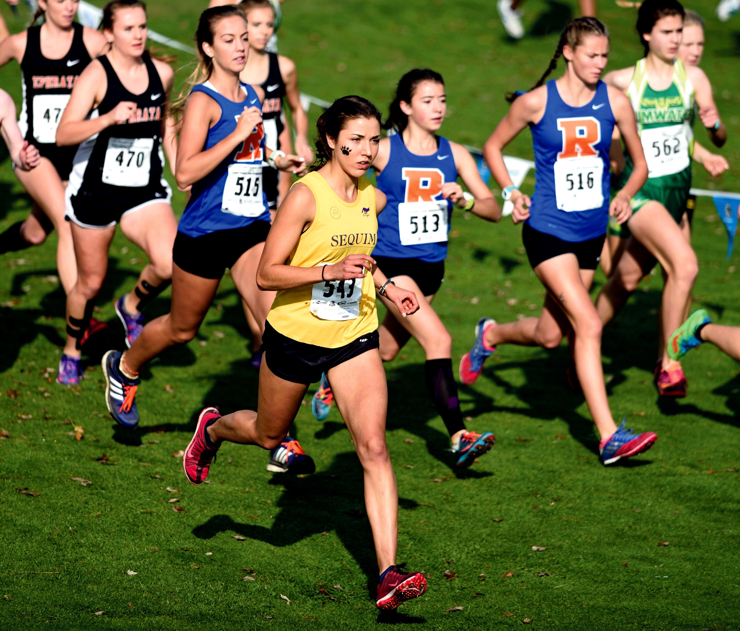 Sequim's Waverly Shreffler (543) starts the 2A girls cross country race at Sun Willows Golf Course in Pasco. Shreffler went on to finish sixth. Dave Shreffler/for Peninsula Daily News