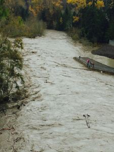 The Elwha River Rachel McElhose