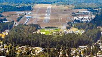 The tall firs of Lincoln Park