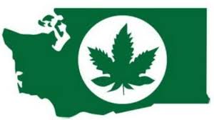 Cities, counties will help state screen pot shops on North Olympic Peninsula