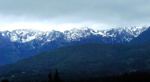 Snow dusts the northern face of Klahhane Ridge south of Port Angeles recently. Water content in the Olympic Mountain snowpack is at a mere 24 percent of normal levels.   Keith Thorpe/Peninsula Daily News