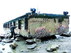 Researchers examine a dock that washed ashore between LaPush and the Hoh River on the Pacific Coast of the North Olympic Peninsula. Department of Fish and Wildlife