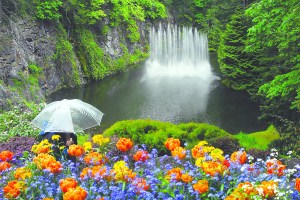 Free admission March 2-3 to The Butchart Gardens