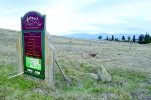 Begun in 2006 but stalled by the real estate markets collapse