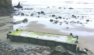 The dock as it appeared in January. -- National Park Service photo via The Associated Press