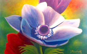 Blue Anemone