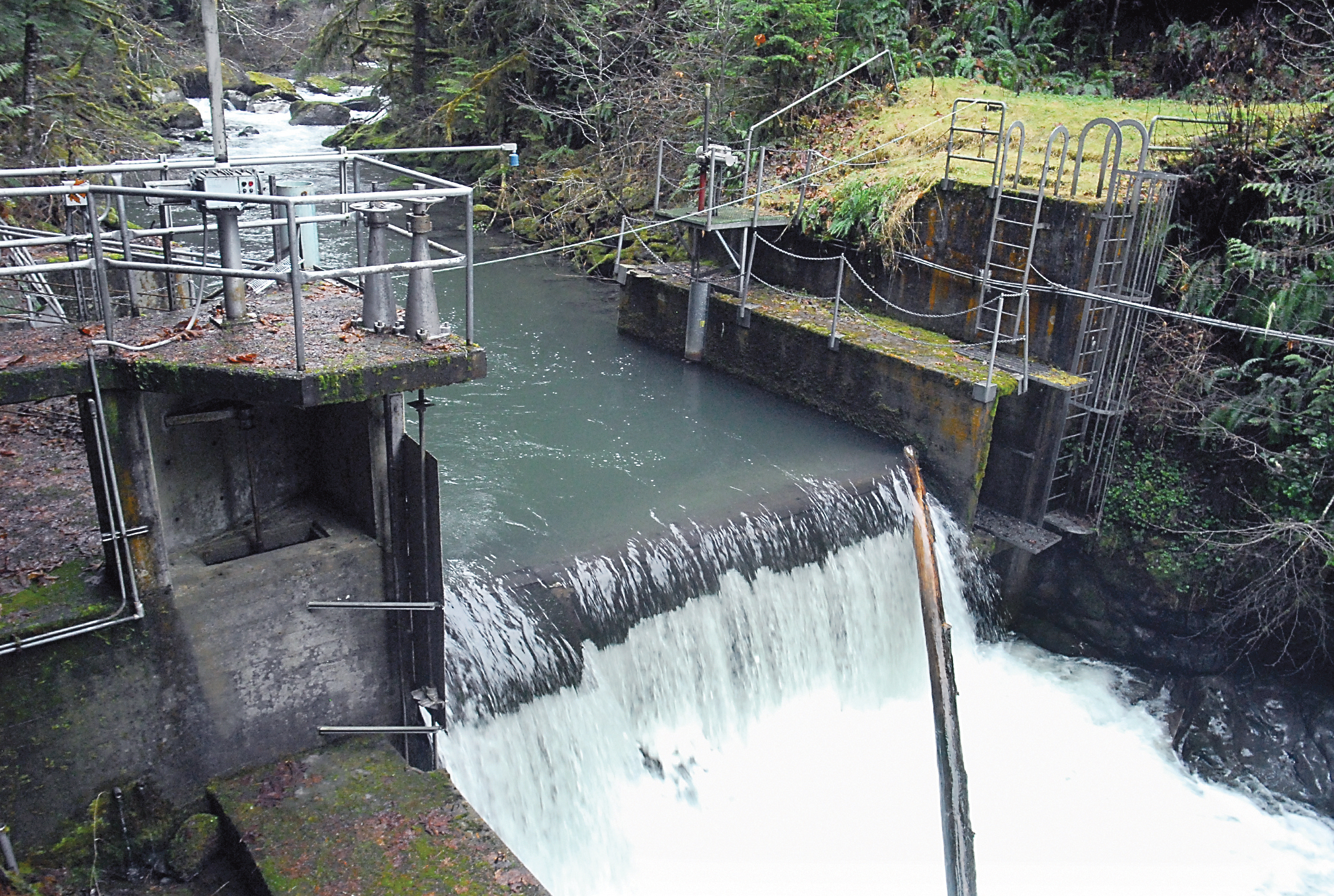 Water flows over the Morse Creek Dam at the water intake located 21/2 miles upstream from the power generation station southeast of Port Angeles. Keith Thorpe/Peninsula Daily News