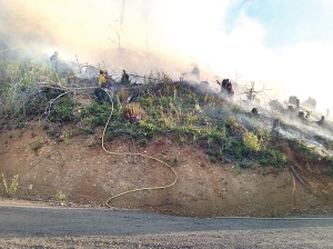 Firefighters work to extinguish a fire that started early Thursday morning in the Brothers Wilderness.  Brinnon Fire District No. 4
