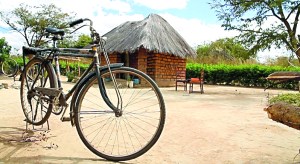 “My Own Two Wheels