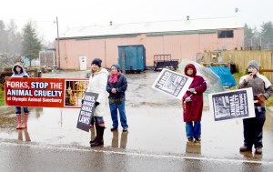 Protesters of the practices of the Olympic Animal Sanctuary
