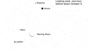 STARWATCH: Planets, meteor shower and space station fill our sky this month