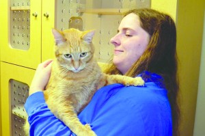 Jefferson County Animal Shelter manager Devon Carney