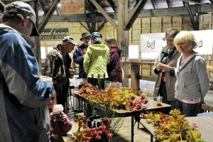 Groups gather to test wine and home brew during the Fish N Brew at the Old Mill Roundhouse in Forks in 2013 during the Hickory Shirt-Heritage Days.  Lonnie Archibald/for Peninsula Daily News