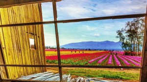 Erik Lawrenz' art awaits visitors to the Heatherton Gallery