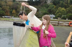 Port Townsend Marine Science Center volunteer Thea ODell
