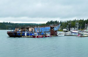 The rusty New Star dwarfs other vessels at picturesque Port Ludlow Marina in this photo taken Saturday.  -- Photo by Charlie Bermant/Peninsula Daily News