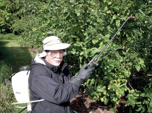 Veteran Master Gardener Bob Cain will discuss using oils to control fungi