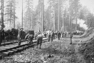 Spruce Division workers build a railroad in Clallam County in 1919. Jefferson County Historical Society