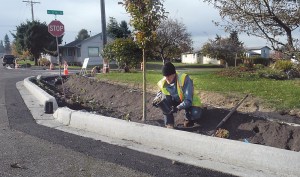 Aaron Hamilton of Chimacum-based Killdeer Landscaping installs plants at a newly built rain garden at the intersection of Fifth and K streets in Port Angeles on Wednesday. Keith Thorpe/Peninsula Daily News