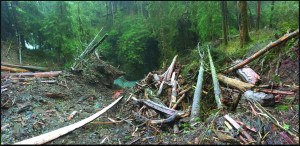 One of five landslides on the Enchanted Valley trail was found by Olympic Mountains Experiment scientists studying rainfall on the North Olympic Peninsula.  Joe Sagrodnik/Olympic Mountains Experiment