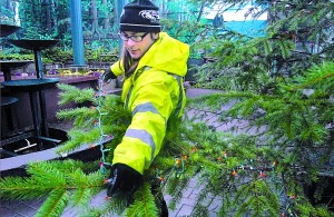 Port Angeles Parks Department employee Elijah Hammel strings lights on the city Christmas tree at the Conrad Dyar Memorial Fountain in downtown Port Angeles on Tuesday. A total of 120 strings of colorful lights adorn the tree with a communty celebration and lighting ceremony scheduled for Saturday. — Keith Thorpe/Peninsula Daily News