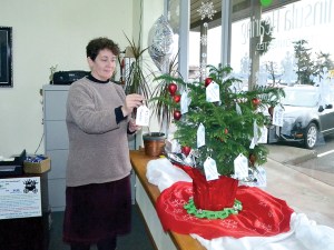 Peninsula Hearing specialist Elisa Welch posts a donation star on the shops Christmas tree. The center is raising money to subsidize distribution of hearing devices for people at or under the poverty line.  Charlie Bermant/Peninsula Daily News